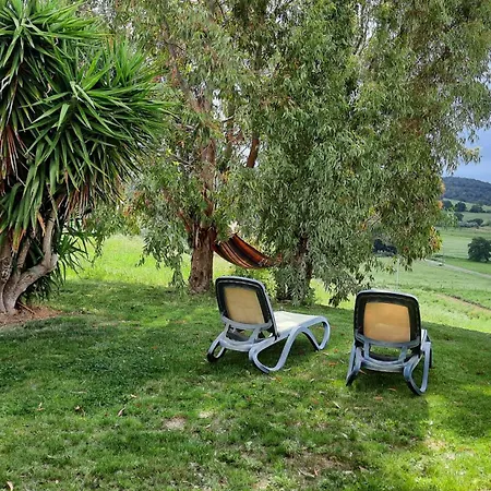 Villa Agriturismo Cupido Montiano  Exterior foto