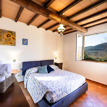 Villa Agriturismo Cupido Montiano  Exterior foto
