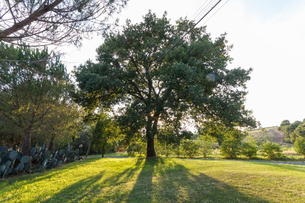 Agriturismo Cupido Agroturismo Montiano (Tuscany)