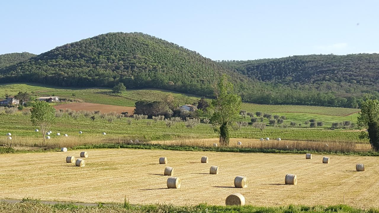 Cupido * Montiano (Tuscany)